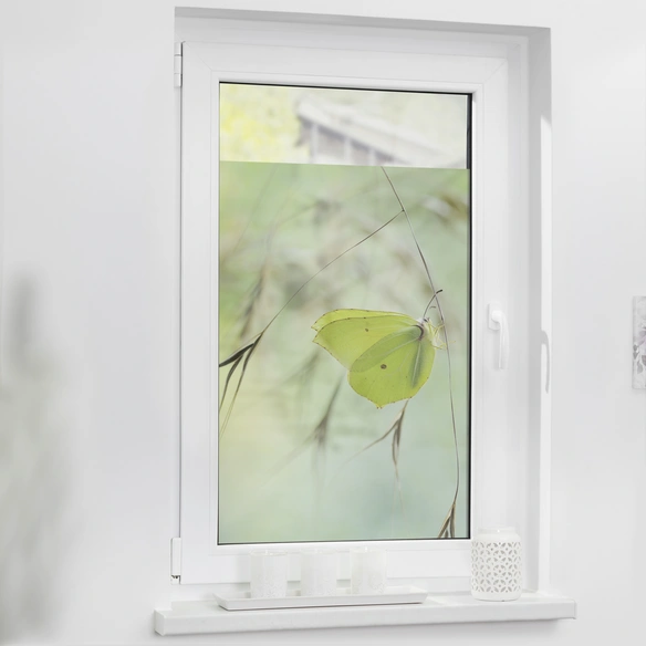 Fensterfolie, Polyvinylchlorid (PVC), Format: 100 x 100 cm (B x L) cm