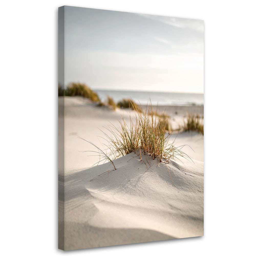 Obraz do salonu sypialni jadalni, Plaża morze wydmy natura rośliny 20x30