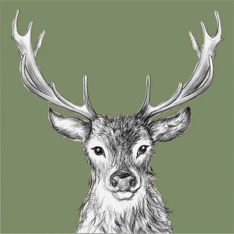 Serviette 20er-Set Paul green