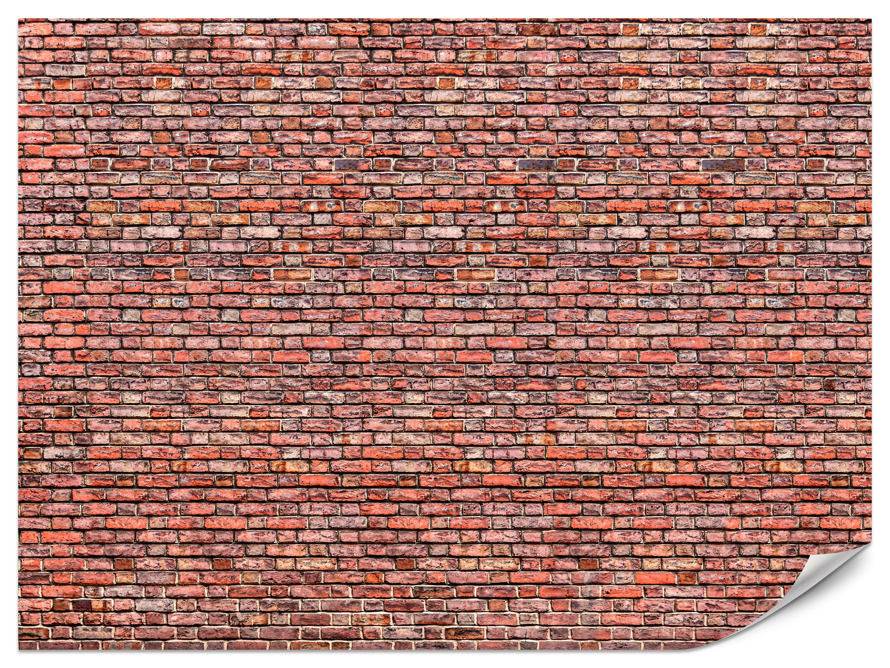 Fototapeta Stary ceglany mur 100x70cm