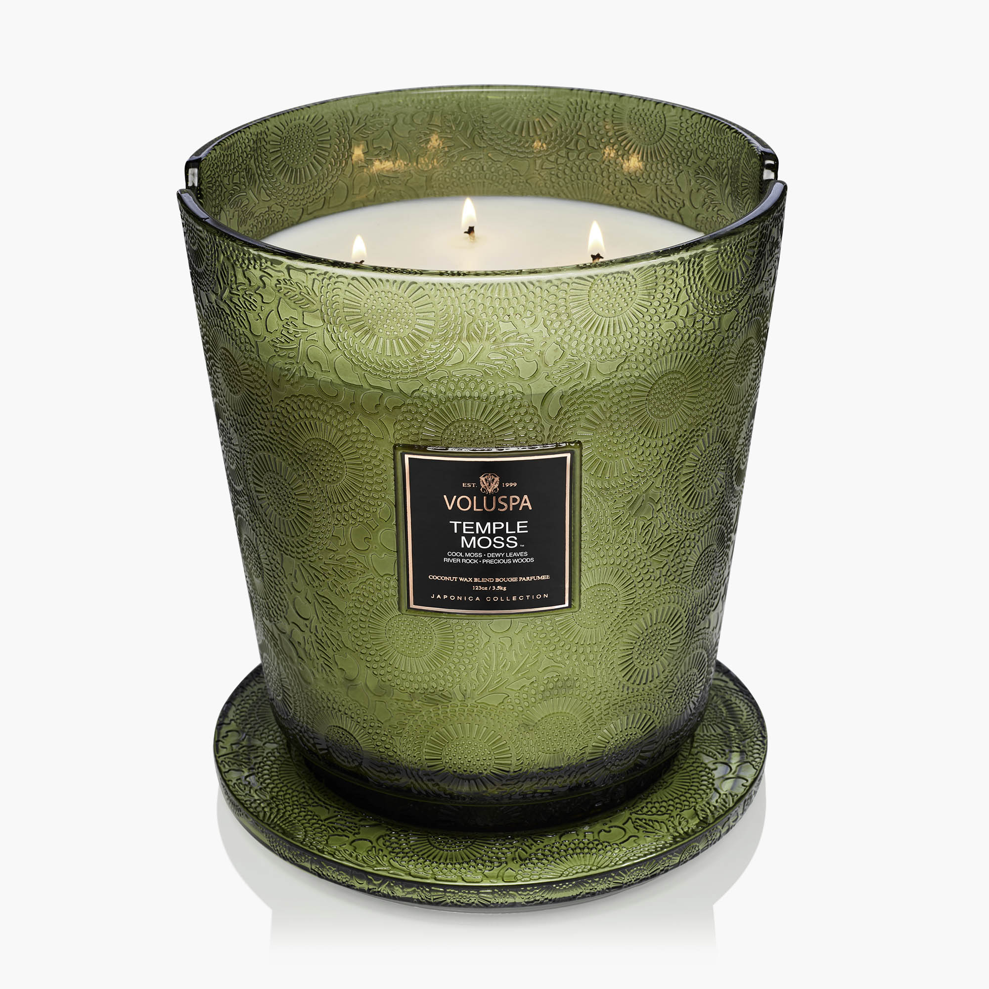 Temple Moss - 5 Wick Hearth Candle