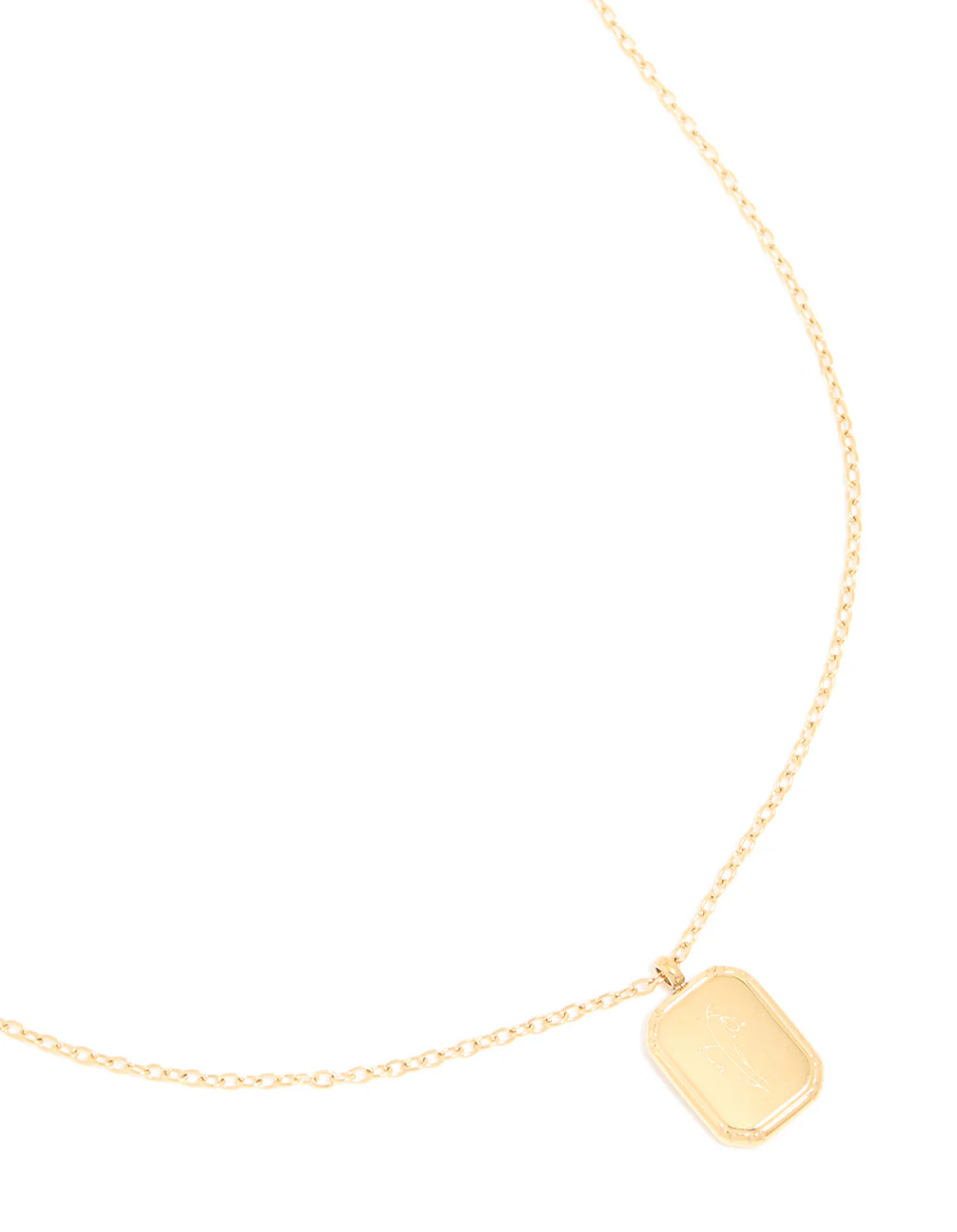 Waterproof Gold Plated Stainless Steel Birth Flower January Carnation Necklace