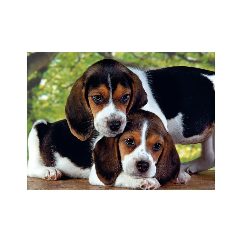 Puzzle 500er-Set Clementoni