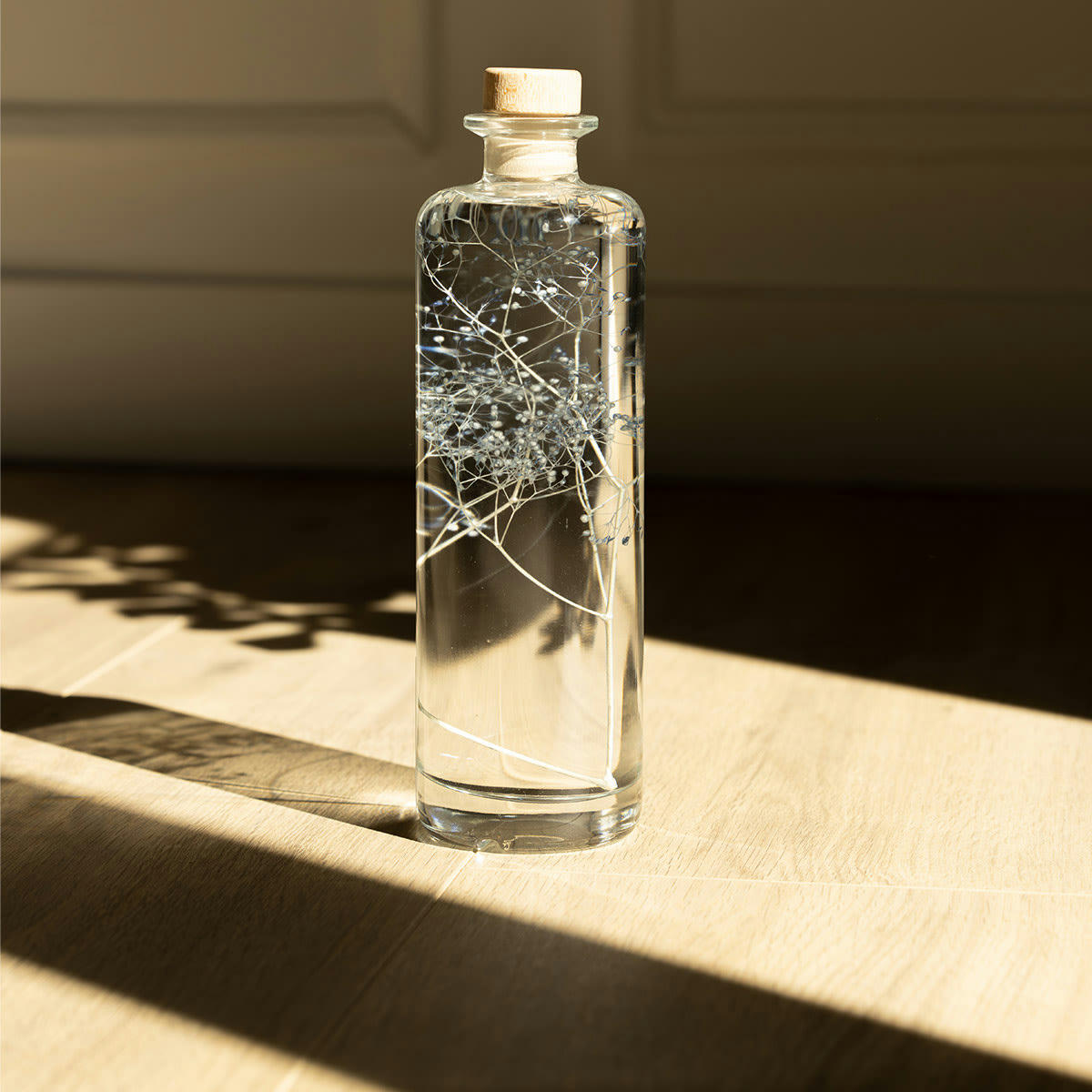 HERBARIUM DE THEOPHILE - Plante immergée Gypsophile bleue