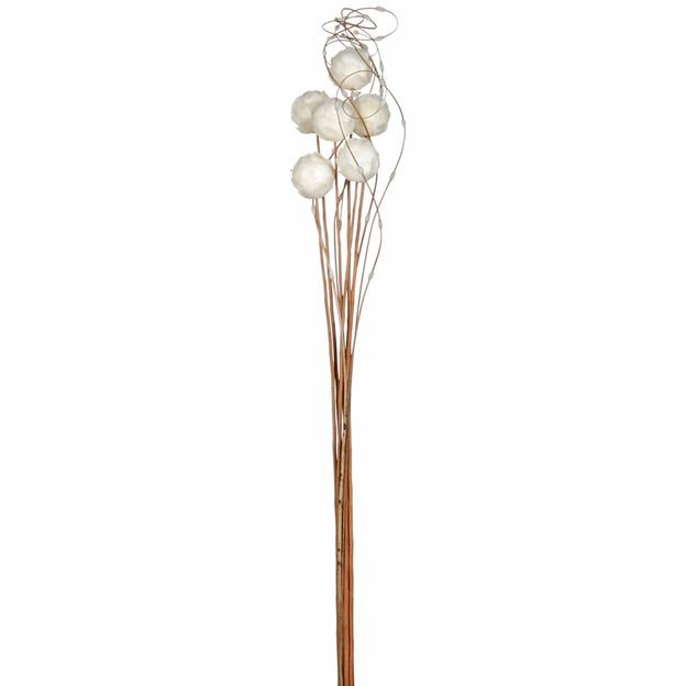 BOUQUET COM 6 ESCAMA DE PEIXE