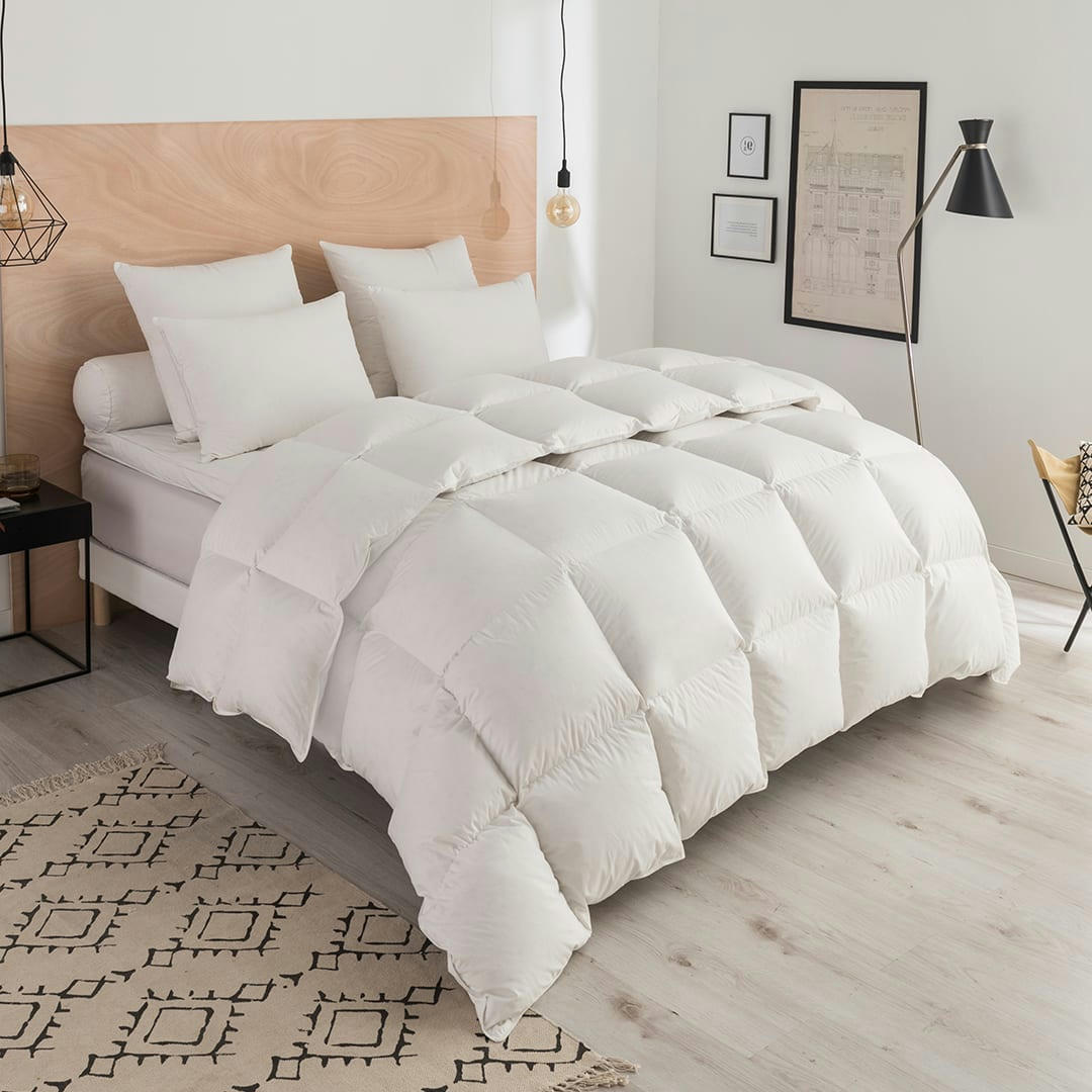 - Couette Thermoduv CHAUDE - 90% Duvet d'Oie 200x200 cm - DODO