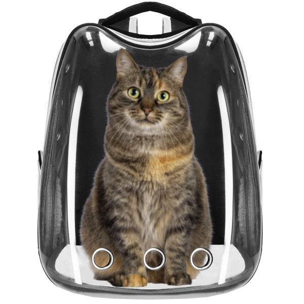 Plecak transporter dla psa40x34x21 cm torba transportowa