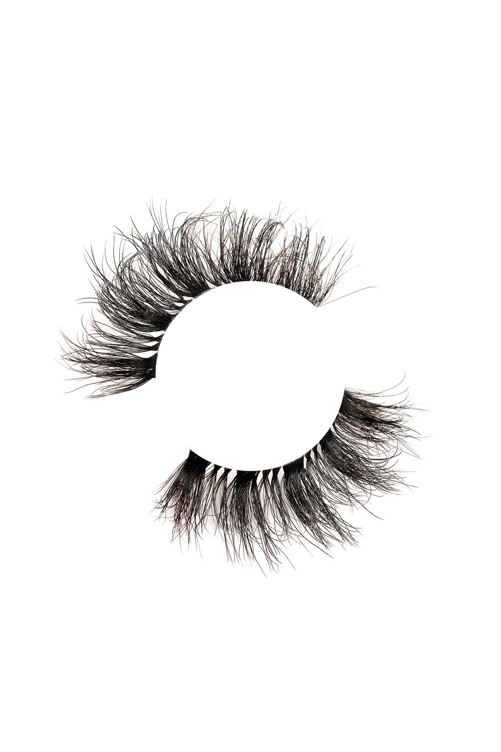 Land of Lashes Came To Slay