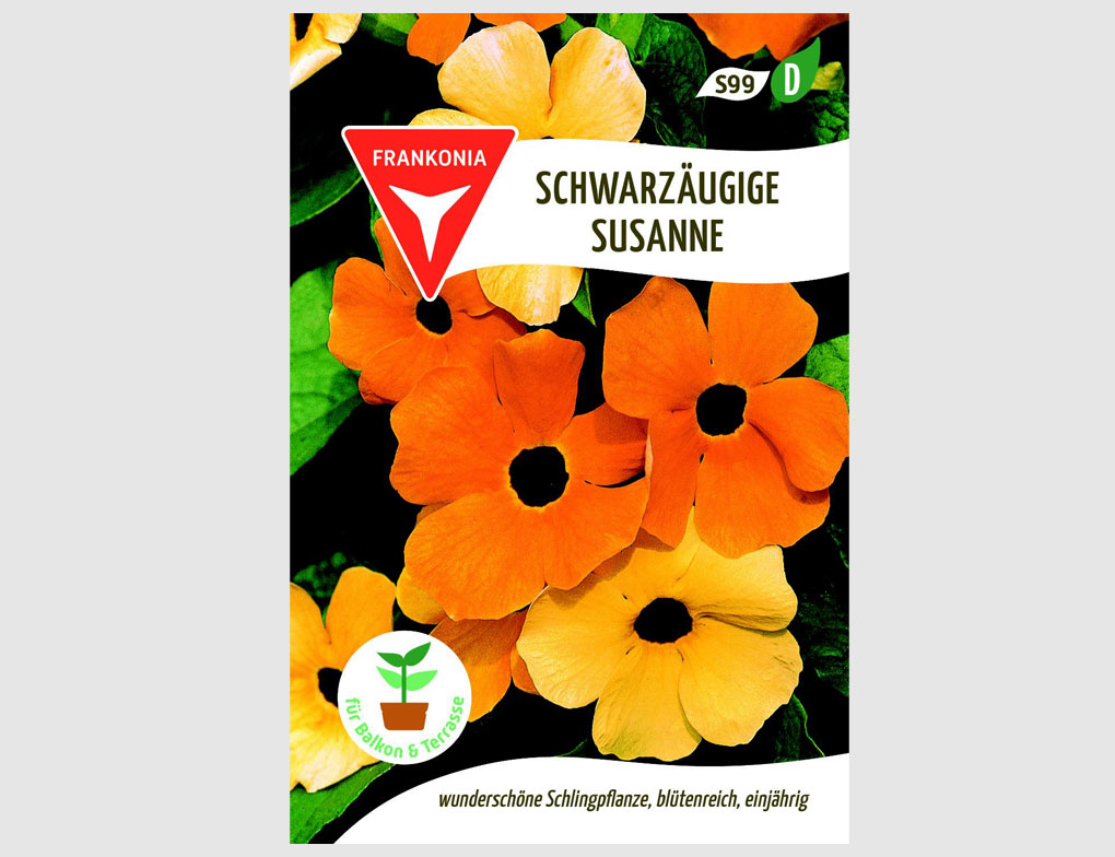 Schwarzäugige Susanne