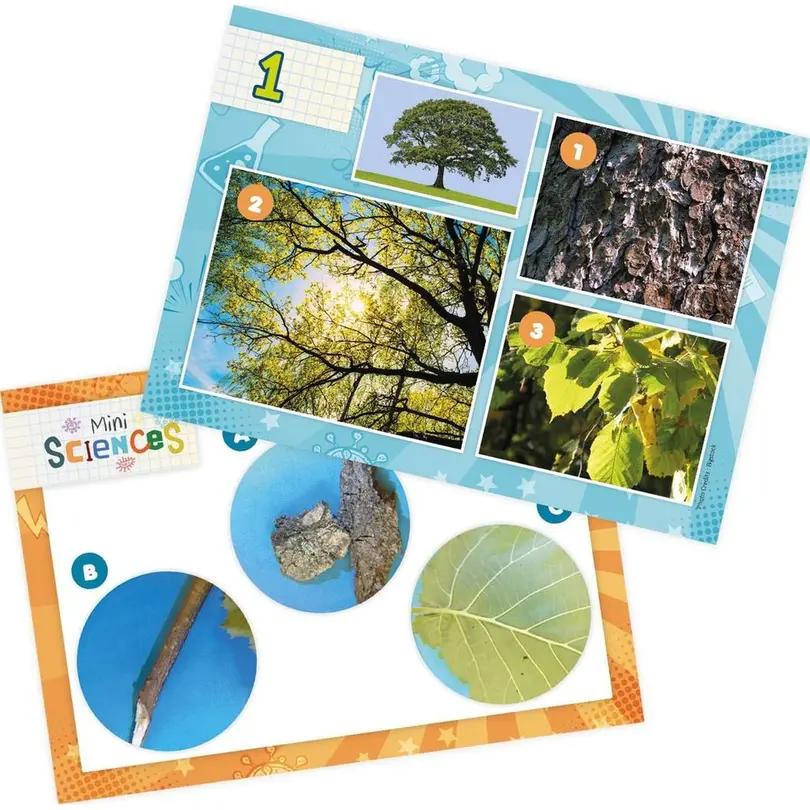 Spielset 4-teilig Sciences