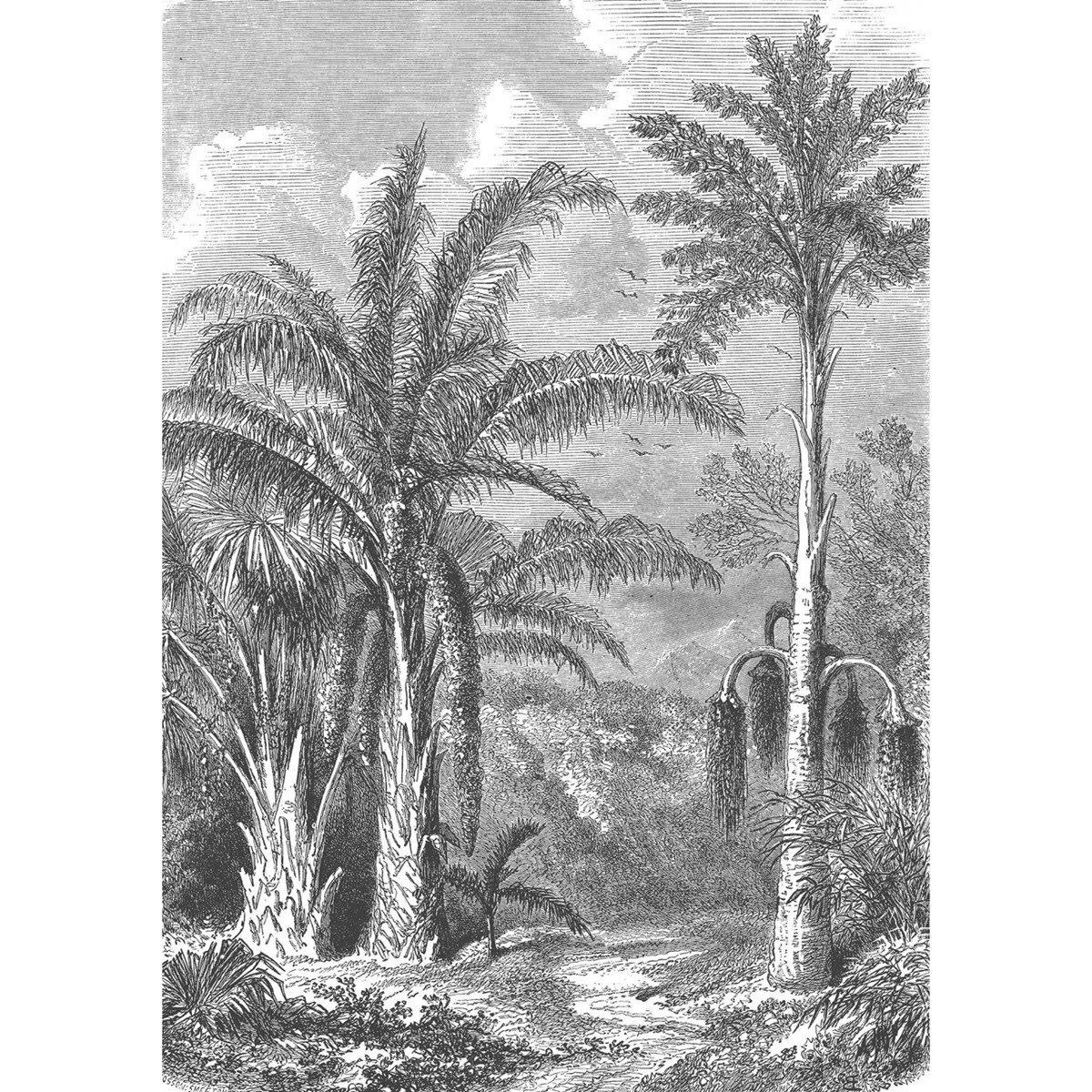 PHOENIX GREY - Papier peint panoramique en papier gris 192x275