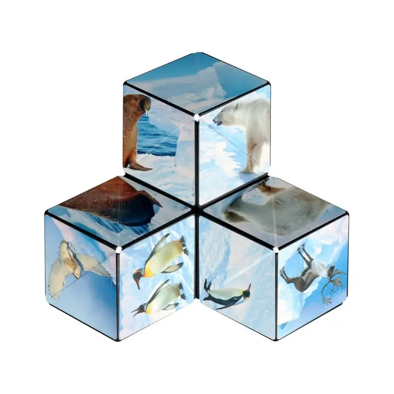 Geschicklichkeitsspiel Arctic