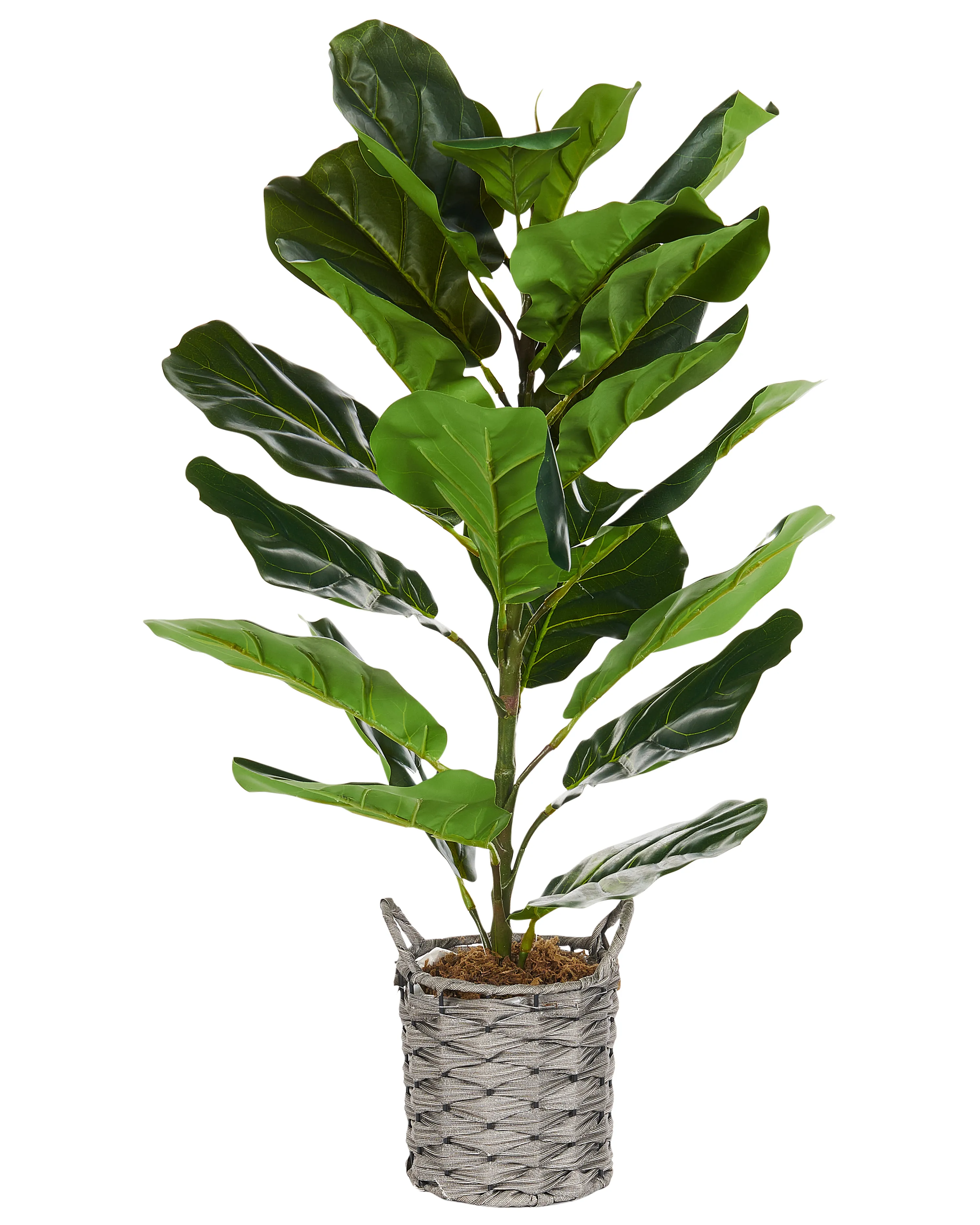 Artificial Plant FIDDLE LEAF TREE 72 cm Green