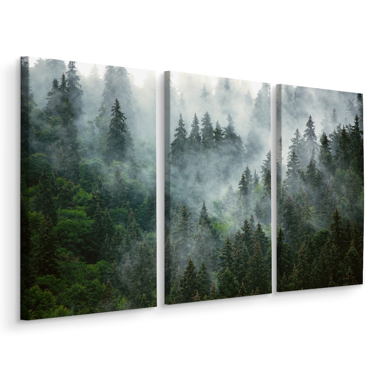 Obraz 3-Częściowy Las We Mgle 3D 60x40cm