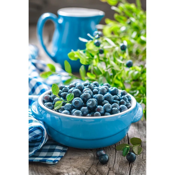 Garten-Heidelbeere, Vaccinium corymbosum »Bluecrop«, Frucht: blau, zum Verzehr geeignet