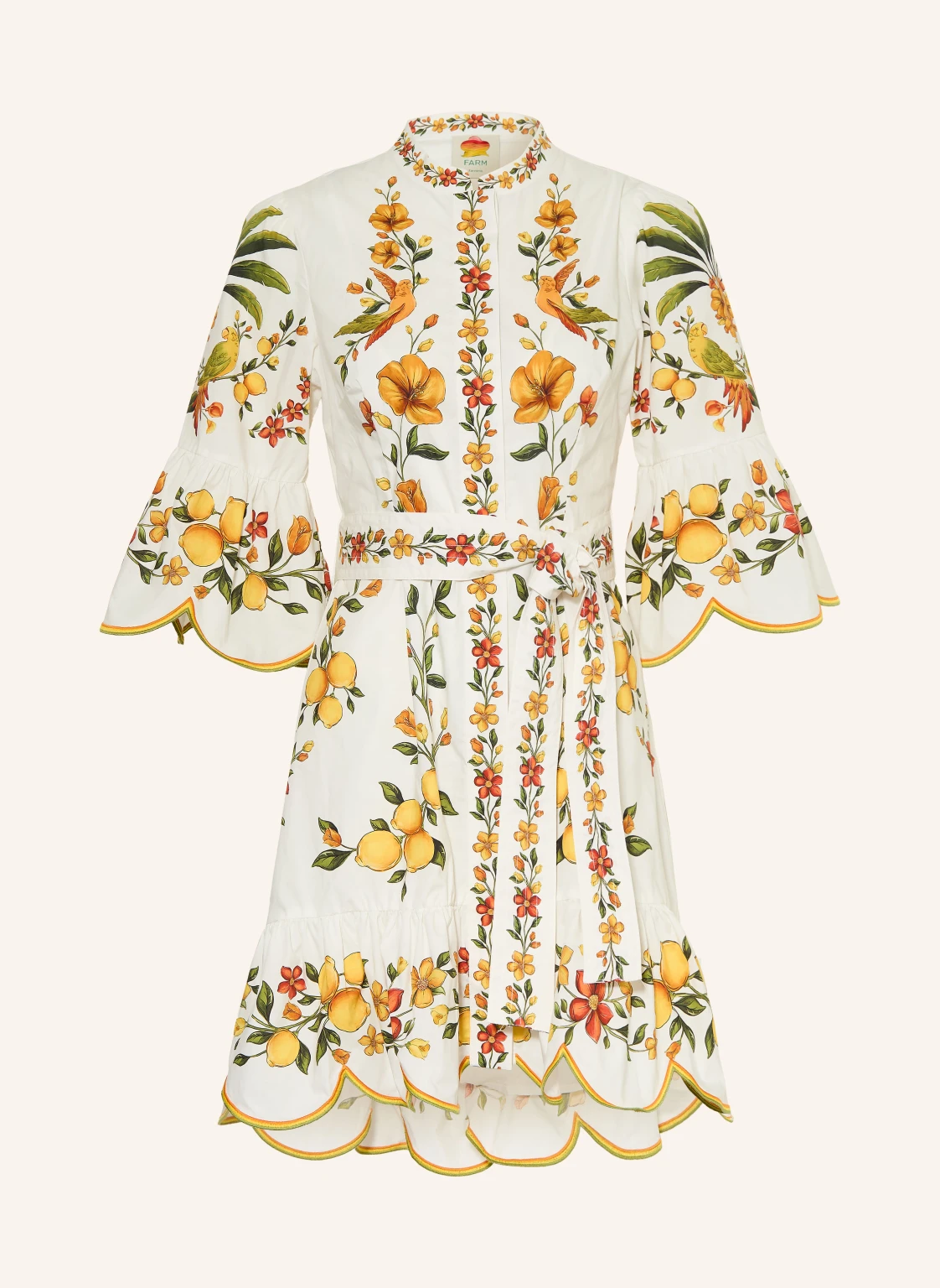 FARM RIO Kleid LEMON BOUQUET mit 3/4-Arm und Rüschen