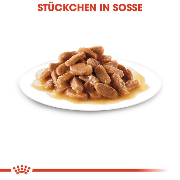 Hunde-Nassfutter »SHN Maxi Puppy«, 140 g