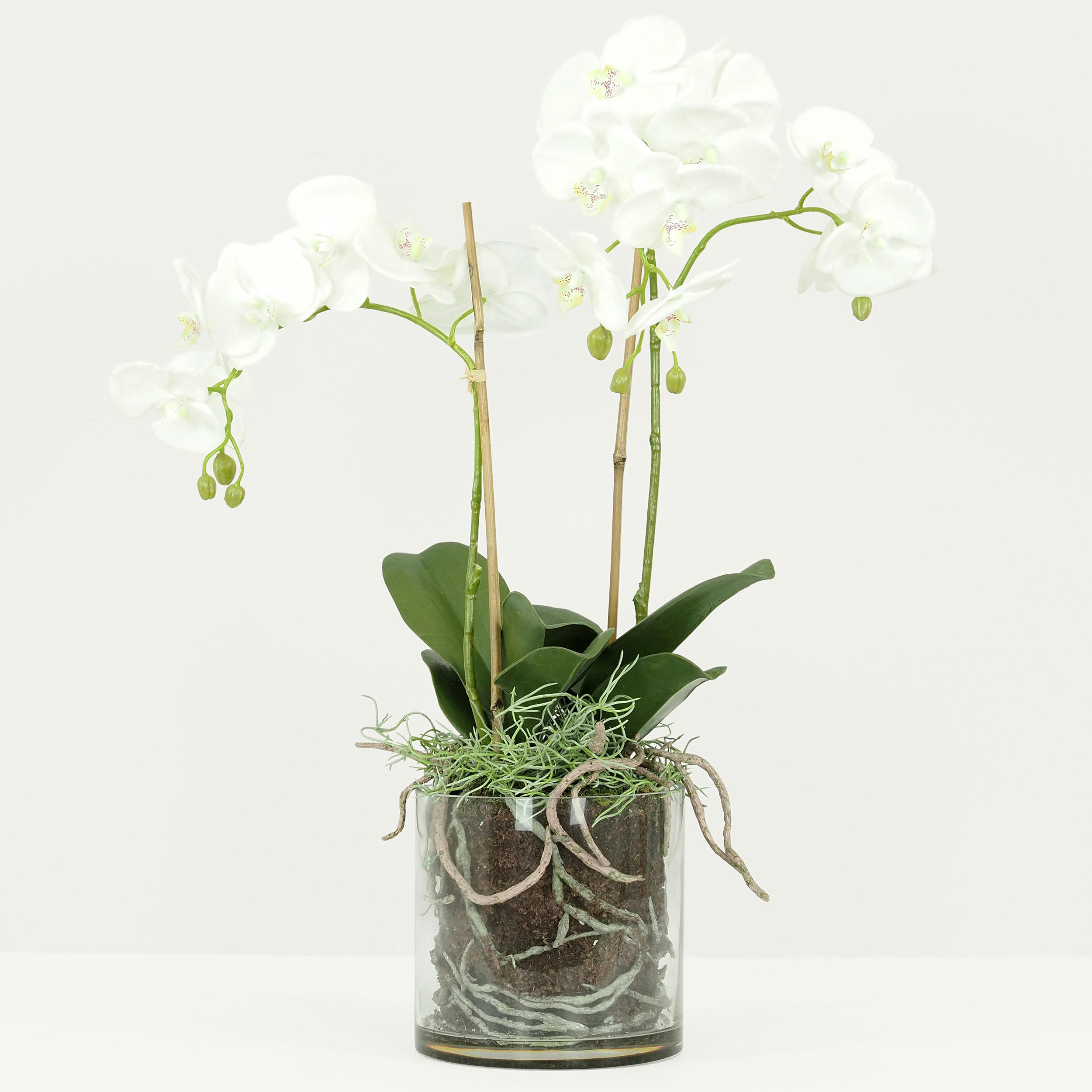 - Orchidée artificielle toucher naturel en pot en verre H65cm
