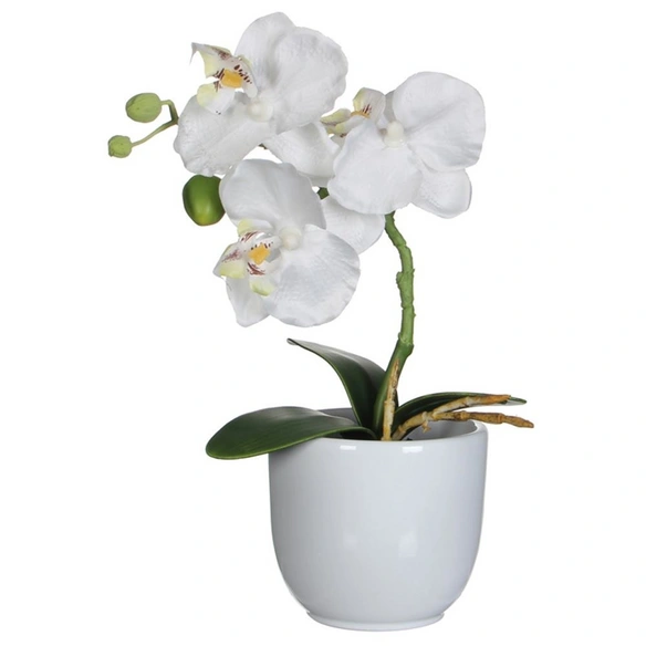 Kunstpflanze, Phalaenopsis Orchidee, weiß
