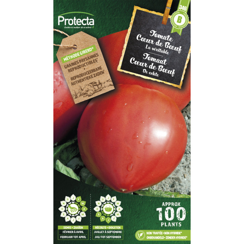 Semences de tomate Cœur de Bœuf PROTECTA