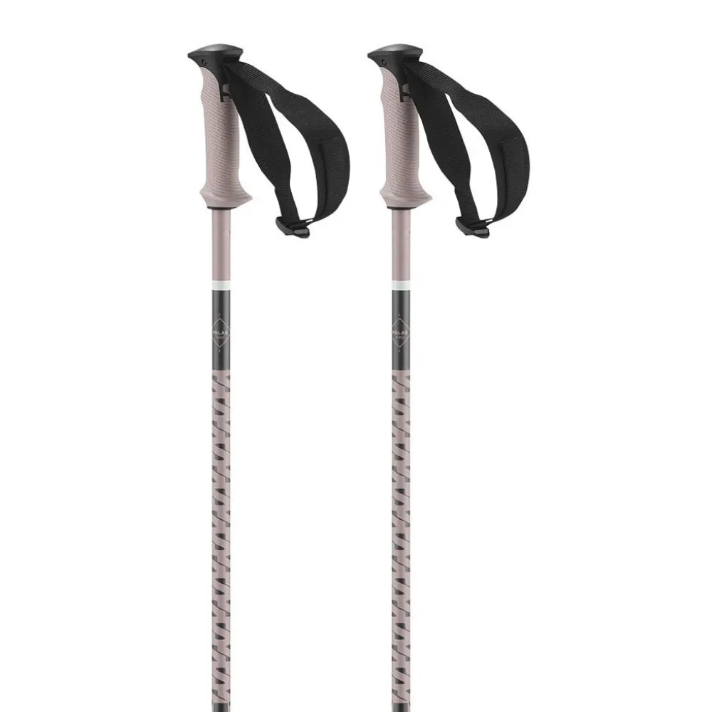 Salomon Polar Pro poles
