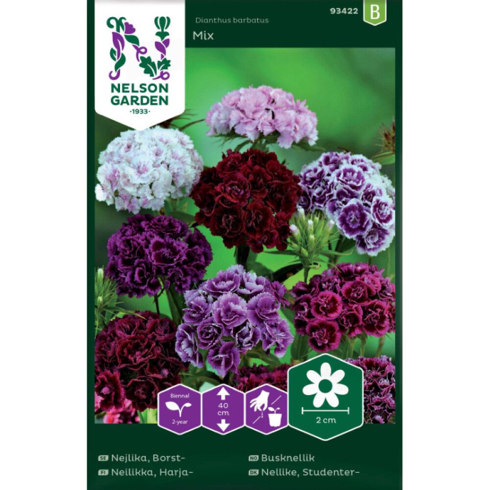 BLOMSTERFRØ NELSON GARDEN BUSKNELLIK MIX