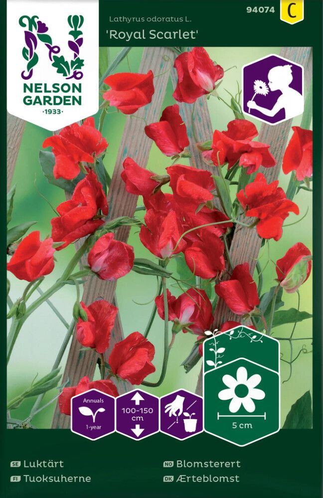 BLOMSTERFRØ NELSON GARDEN BLOMSTERERT ROYAL SCARLET