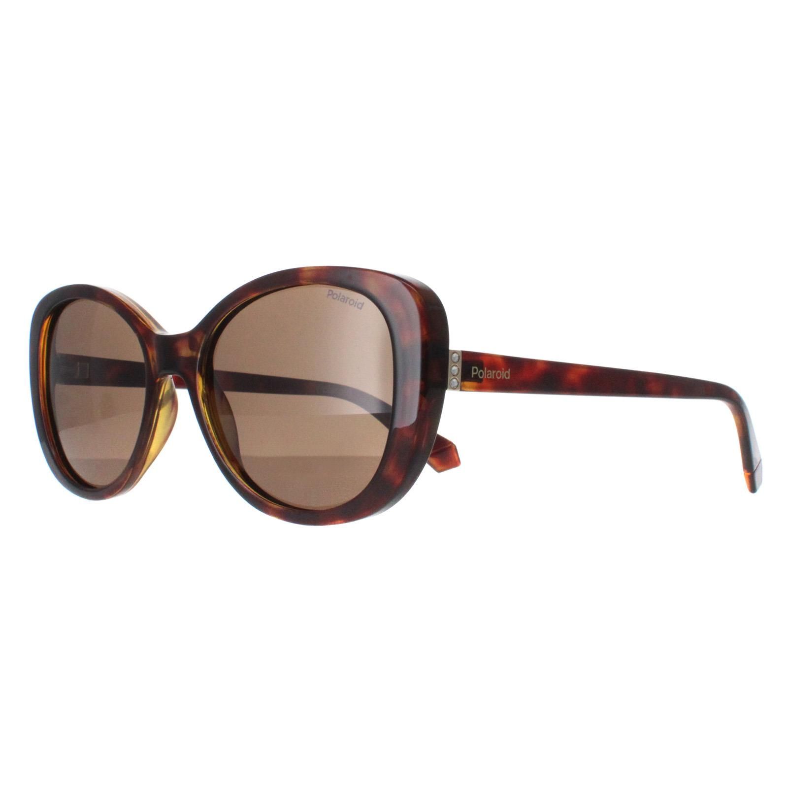 Polaroid Butterfly Havana Bronze Polarized PLD 4154/S/X