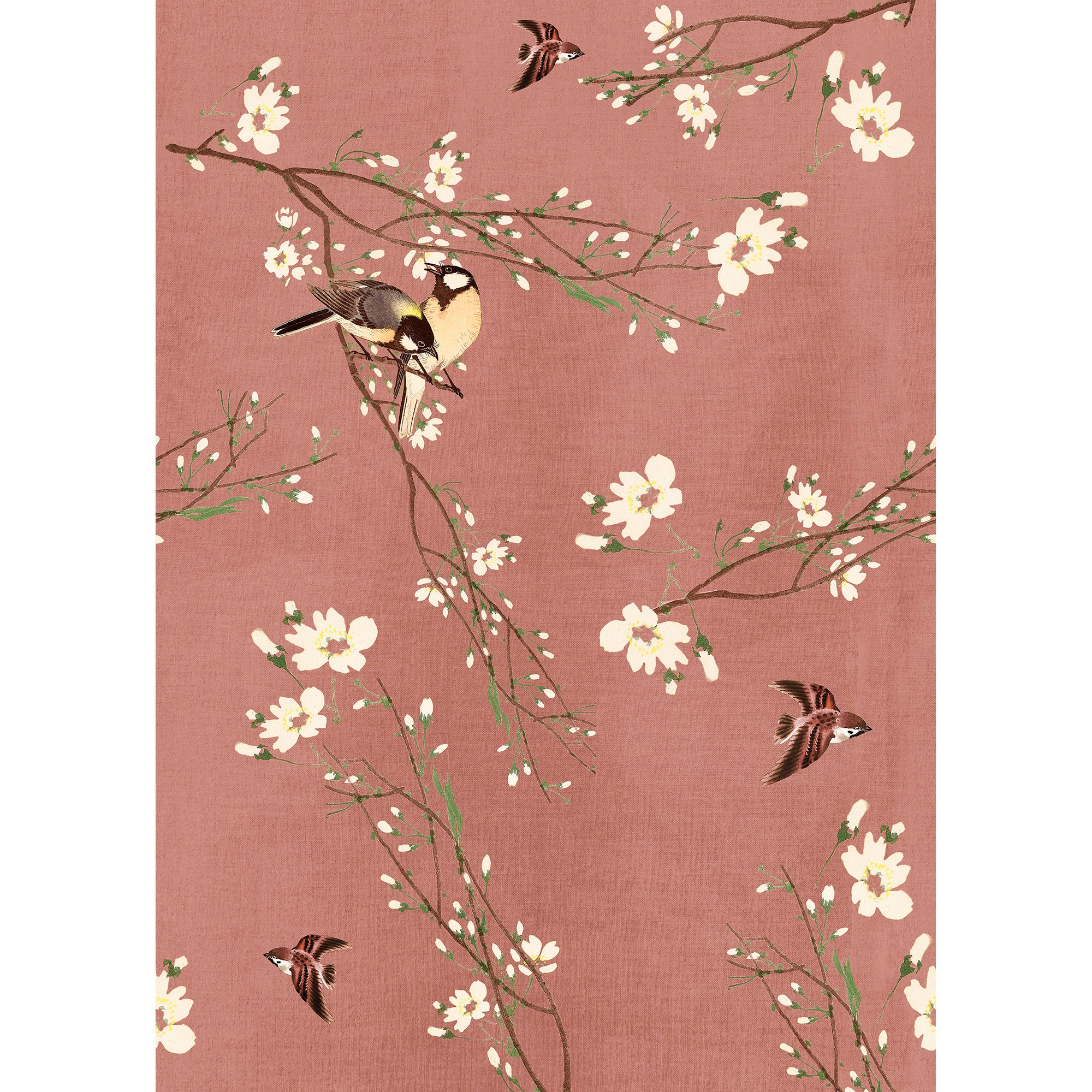 Superfresco Easy Fotobehang - Birds & Blossom - 200x280