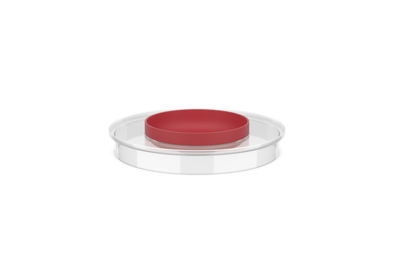 spatdeksel beslagkom chef it 3000 ml - coral