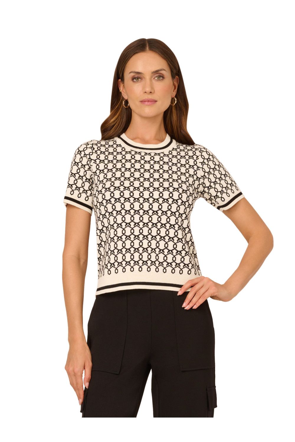 Adrianna Papell Patterned Crew Neck Sweater