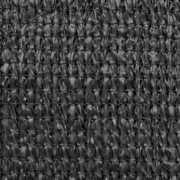 Markiza boczna Antracyt 75 x 600 cm vidaXL
