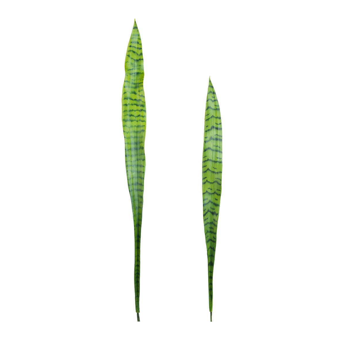 - Set de 2 feuilles de sansevieria H91