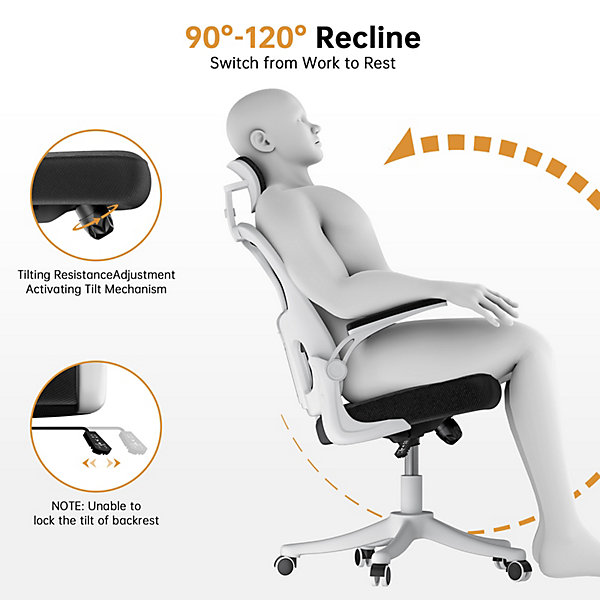 Chaise de Bureau Ergonomique avec Support Lombaire, Accoudoirs et Appuie-tête Réglables
