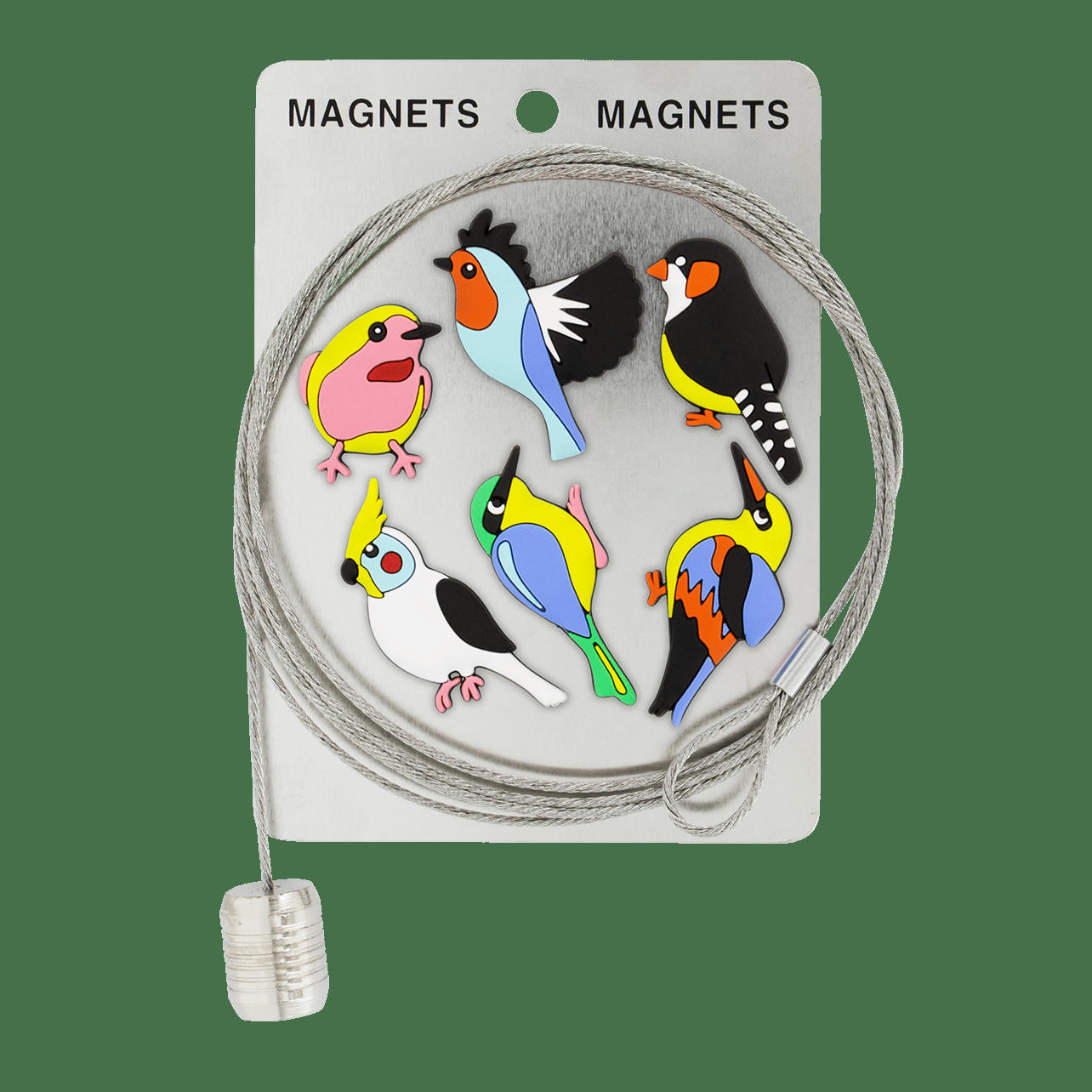 - Câble porte photos et magnets