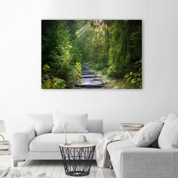 Feeby Obraz na płótnie Ścieżka w zielonym lesie 60x40