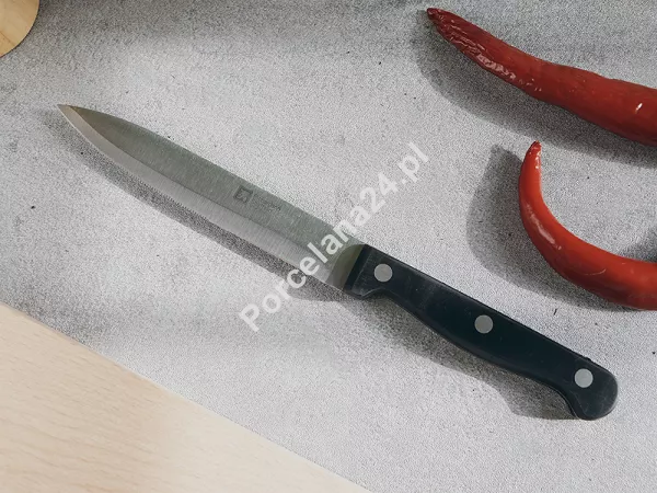 Komplet noży kuchennych (6el) w bloku Amefa / Richardson Sheffield - ARTISAN