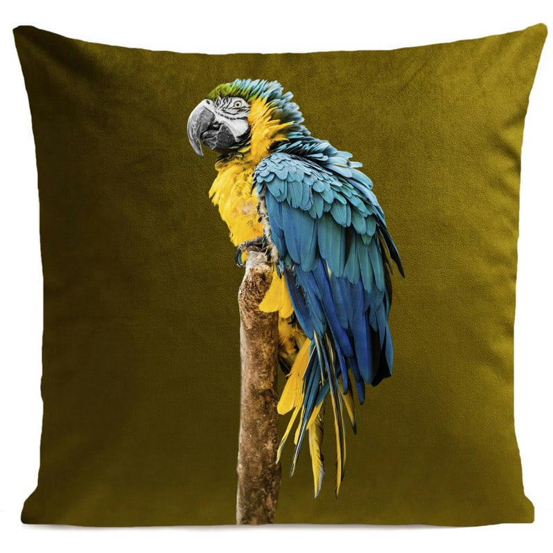 - Coussin tropical perroquet velours vert olive 40x40cm