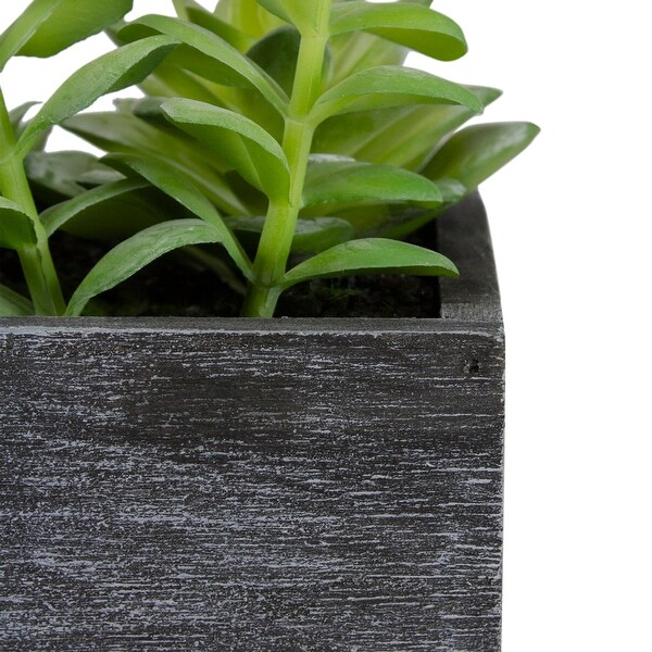 23" Artificial Mixed Succulent Plants in a Rectangular Planter