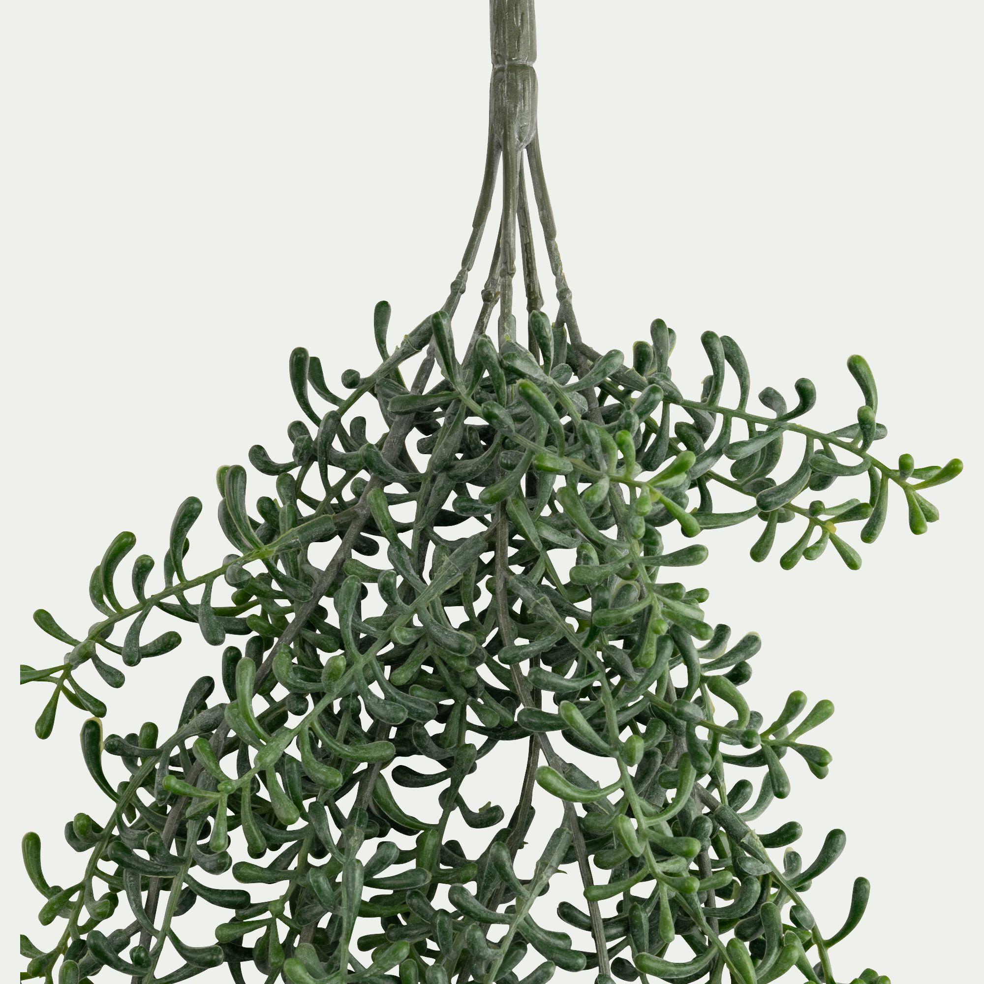 BERILLO - Branche artificielle de rhipsalis 72cm - vert