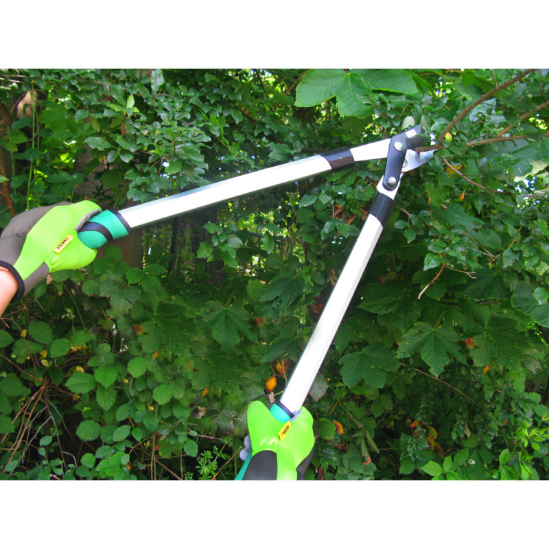 Coupe-branche Bypass en aluminium Ø 30 mm MEISTER