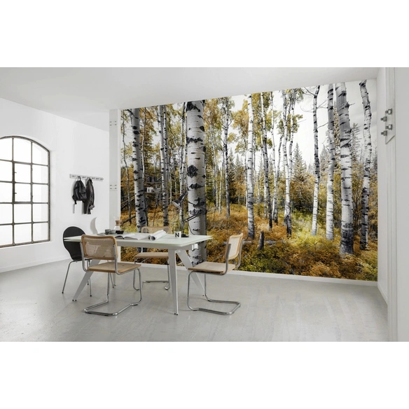 Vliestapete »Colorful Aspenwoods«, Breite 450 cm, seidenmatt