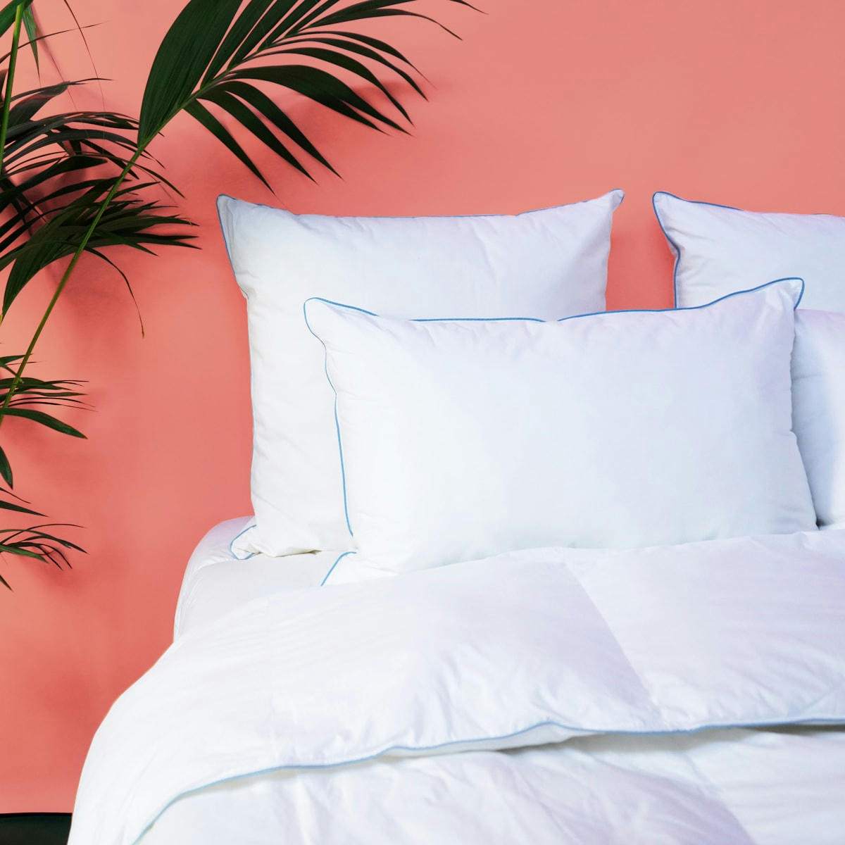 MARIN - Oreiller MEDIUM Fibre Ergonomique - Coton Bio  60x60 cm - Wake Me Gree