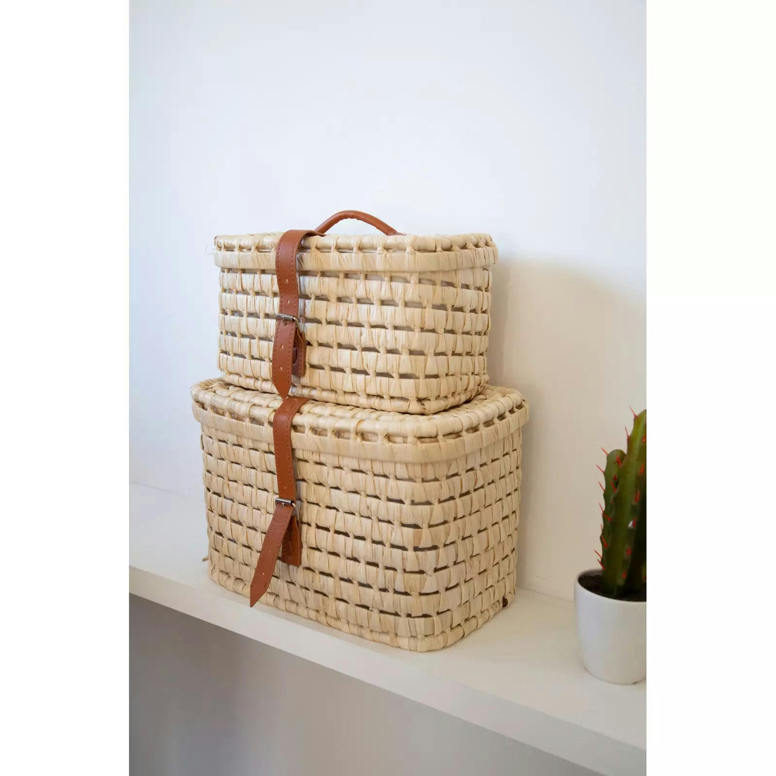 - Lot de 2 paniers de rangement Moïse