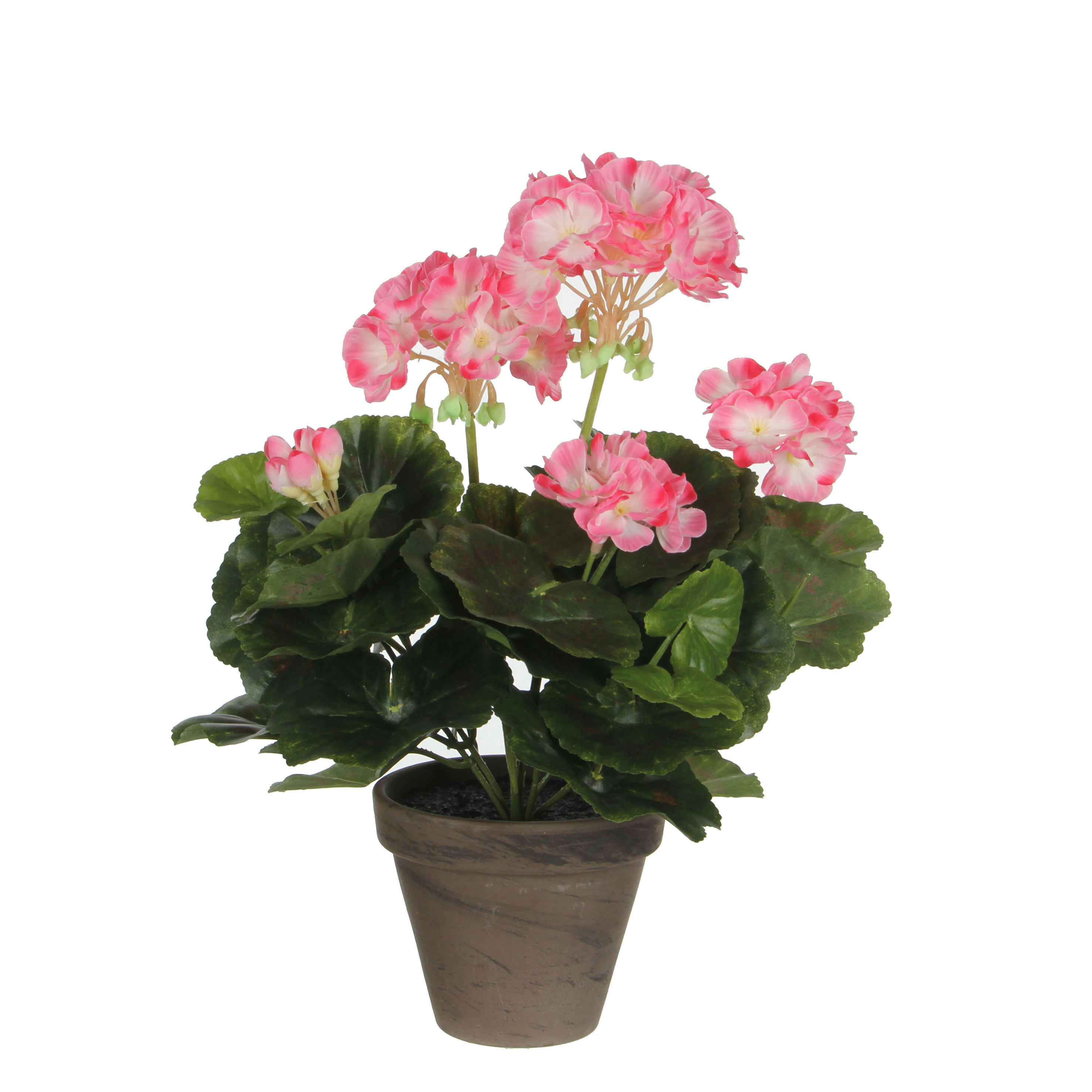 - Géranium artificielle rose et blanc en pot H34