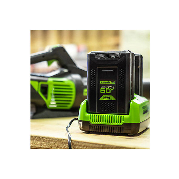 Double chargeur rapide GREENWORKS 60V - 6,0Ah - G60x2UC6