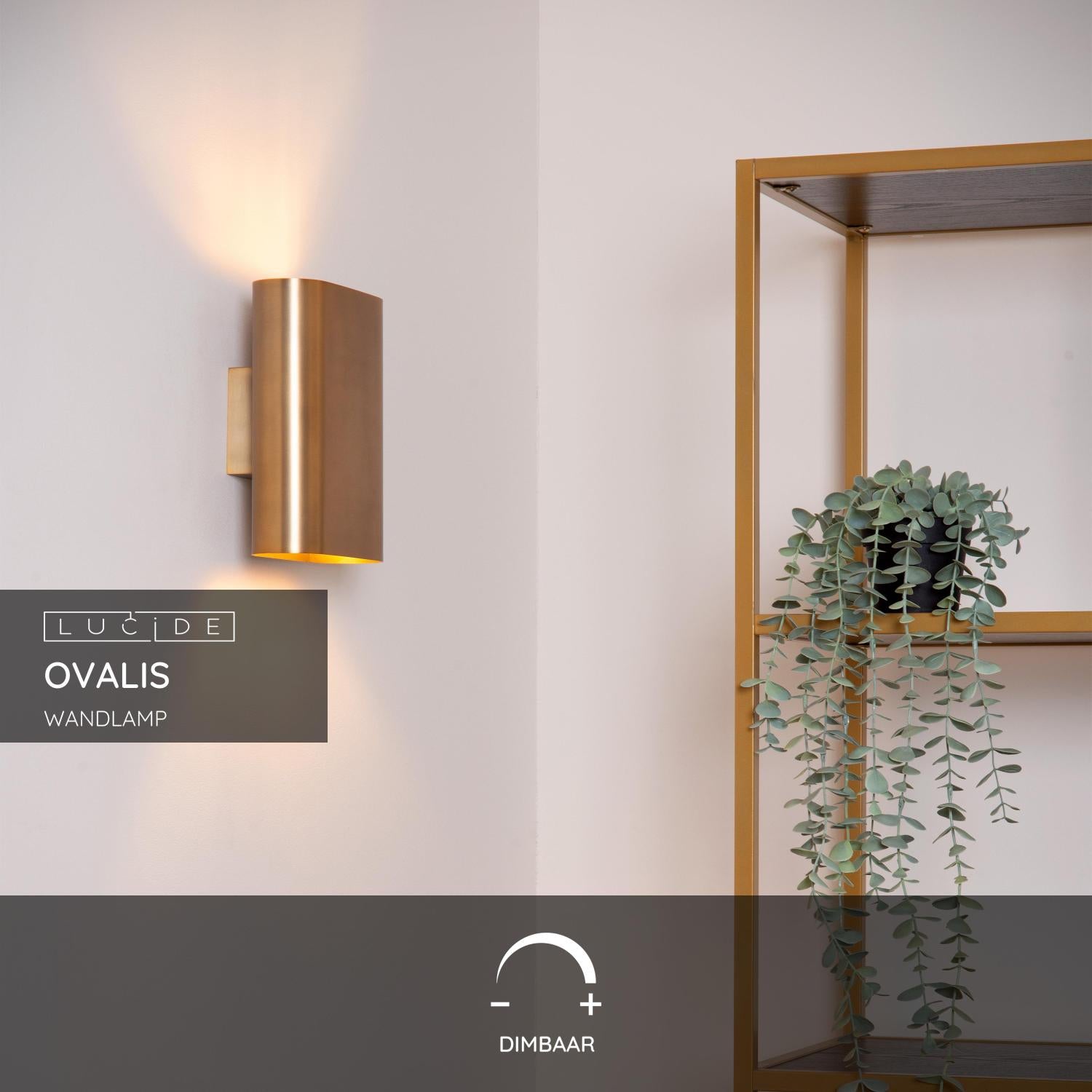 Lucide OVALIS Wandlamp - Mat Goud   Messing