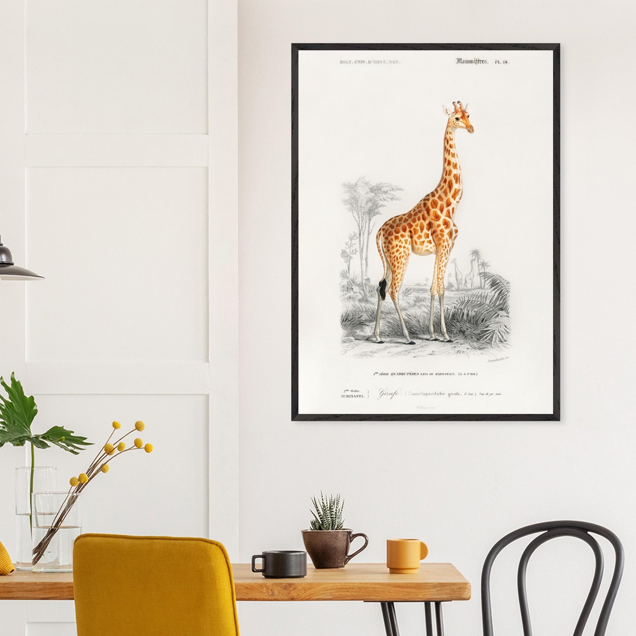 Artfulprints Poster Charles Dessalines d'Orbigny - Giraffe (giraffa camelopardalis)  - 70x100 cm - Oranje