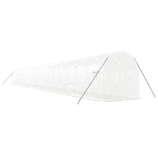 NNEVL Greenhouse with Steel Frame White 40 m&sup2; 20x2x2 m