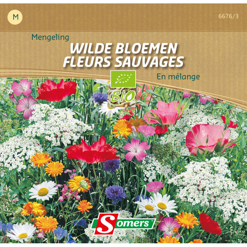 Mélange de semences de fleurs sauvages SOMERS